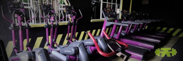 Equipos elípticas y escaladoras seventy seven gym